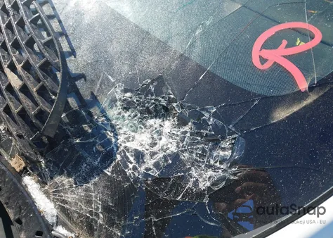 2022 Tesla Model X Plaid Tri Motor All-Wheel Drive from USA, damaged, VIN 7SAXCBE61NF331535